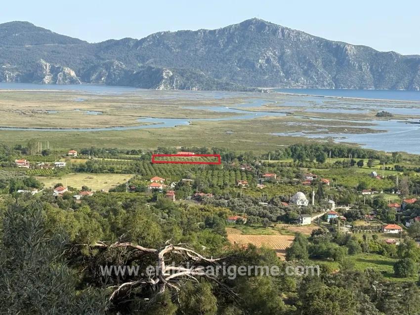 Feld Zu verkaufen in Çandır Bz. Köyceğiz - Feld-Zonierung - 1.252 m²