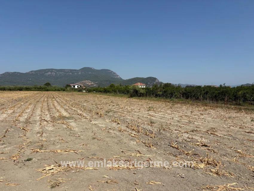 Feld Zu verkaufen in Dalyan Bz. Ortaca - Feld-Zonierung - 20.786 m²