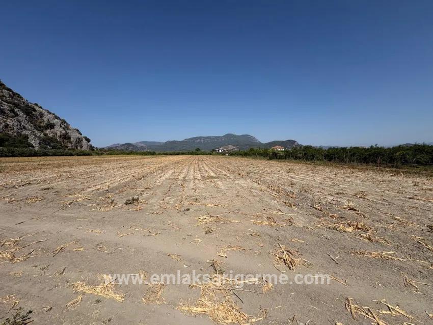 Feld Zu verkaufen in Dalyan Bz. Ortaca - Feld-Zonierung - 20.786 m²