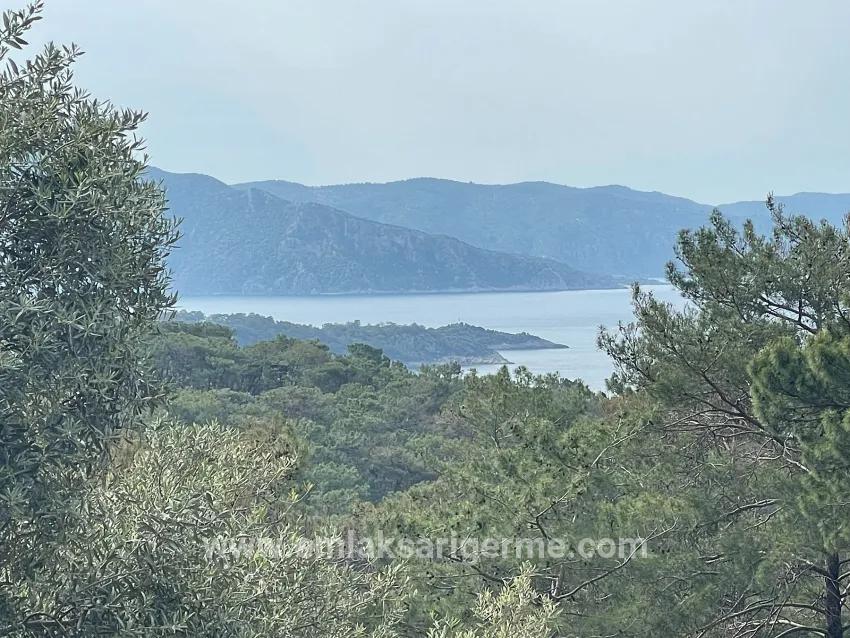 Feld Zu verkaufen in Ekincik Bz. Köyceğiz - Olive-Zonierung - 7.000 m²
