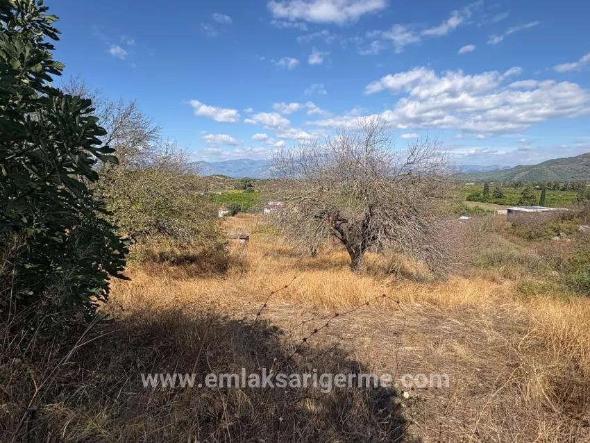 Feld Zu verkaufen in Dalyan Bz. Ortaca - Feld-Zonierung - 5.000 m²