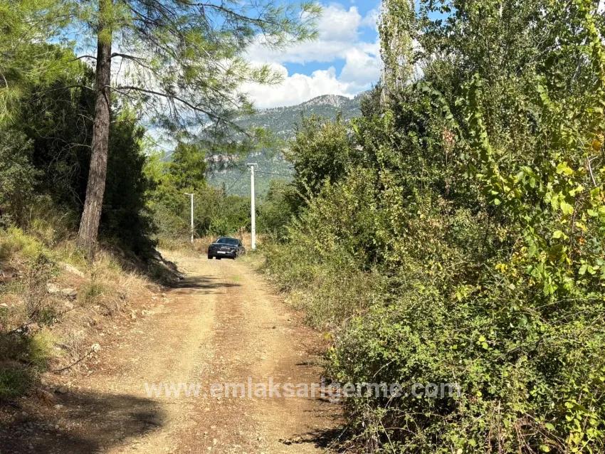 Feld Zu verkaufen in Zeytinalanı Bz. Köyceğiz - Feld-Zonierung - 10.500 m²