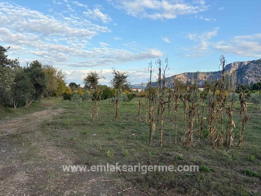 7.450 M² Großes Grundstück In Dalyan Mit 5%iger Zonierung Zu Verkaufen.