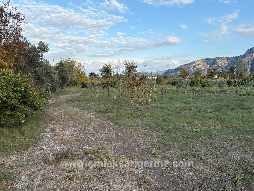 7.450 M² Großes Grundstück In Dalyan Mit 5%iger Zonierung Zu Verkaufen.