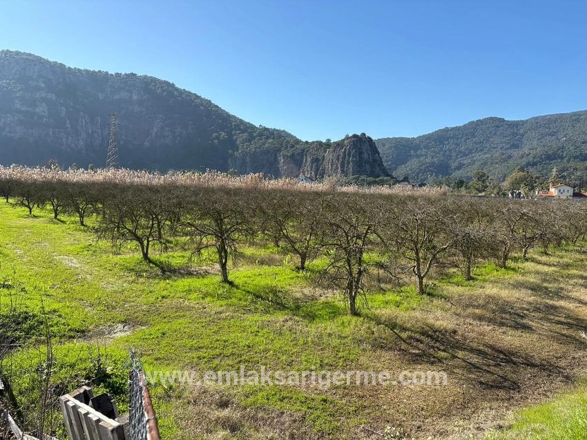 5985 M² Großes Grundstück In Dalyan Zu Verkaufen, Ausgewiesen Für 5 % Weinbau/obstbau.