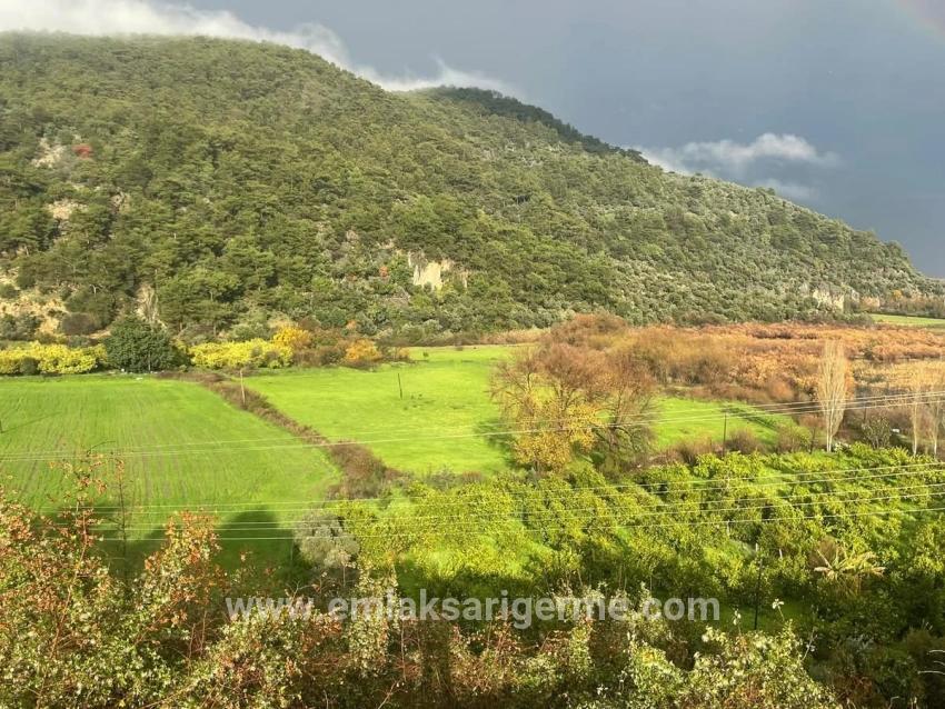 35.000 M² Ackerland Zum Verkauf In Çandır, Köyceğiz.