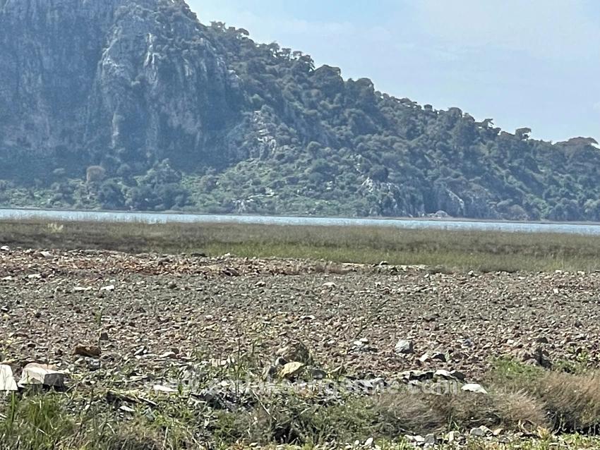 Feld Zu verkaufen in Dalyan Bz. Ortaca - Gehäuse-Zonierung - 19.600 m²
