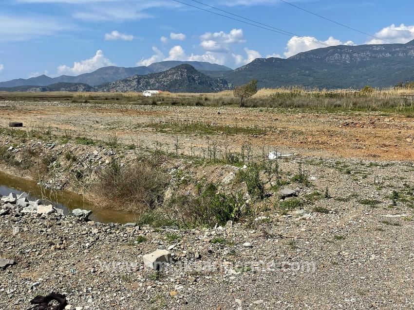 Feld Zu verkaufen in Dalyan Bz. Ortaca - Gehäuse-Zonierung - 19.600 m²