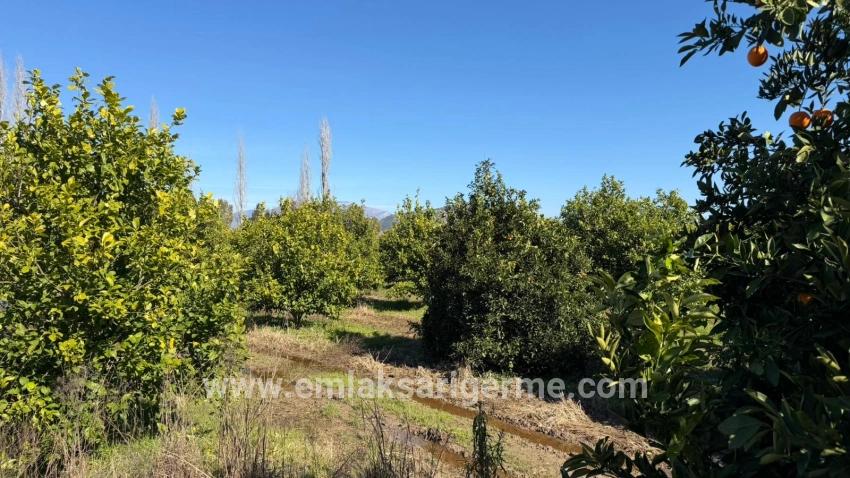 2.218m2 Grundstück Zum Verkauf In Okçular Marmarlı