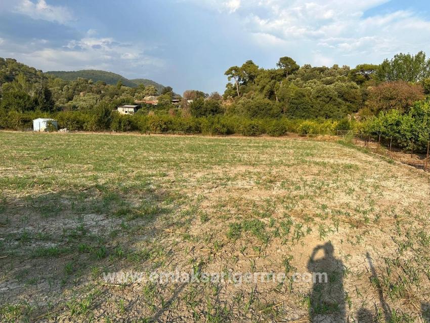 Feld Zu verkaufen in Çandır Bz. Köyceğiz - Gehäuse-Zonierung - 1.150 m²