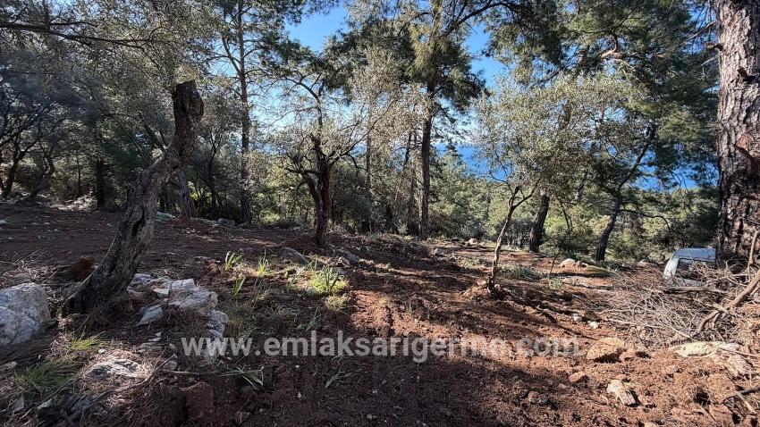 Feld Zu verkaufen in Çandır Bz. Köyceğiz - Gehäuse-Zonierung - 5.715 m²
