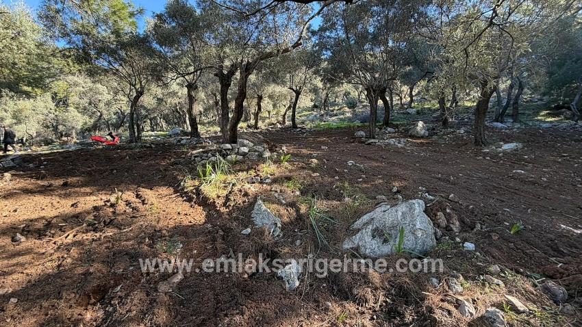 Feld Zu verkaufen in Çandır Bz. Köyceğiz - Gehäuse-Zonierung - 5.715 m²