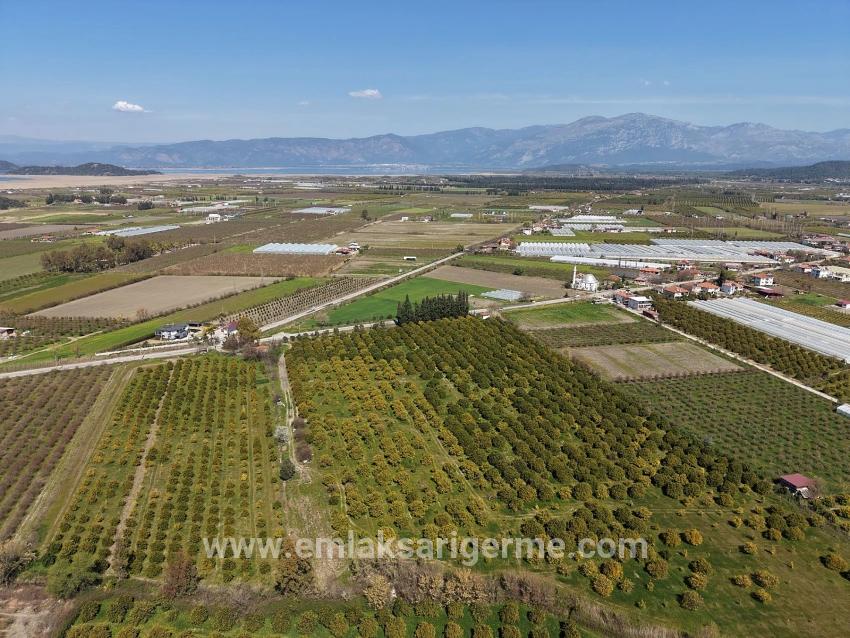 17.550 M2 Weinberg-bahce Zum Verkauf In Der Nähe Des Dalyan Centers