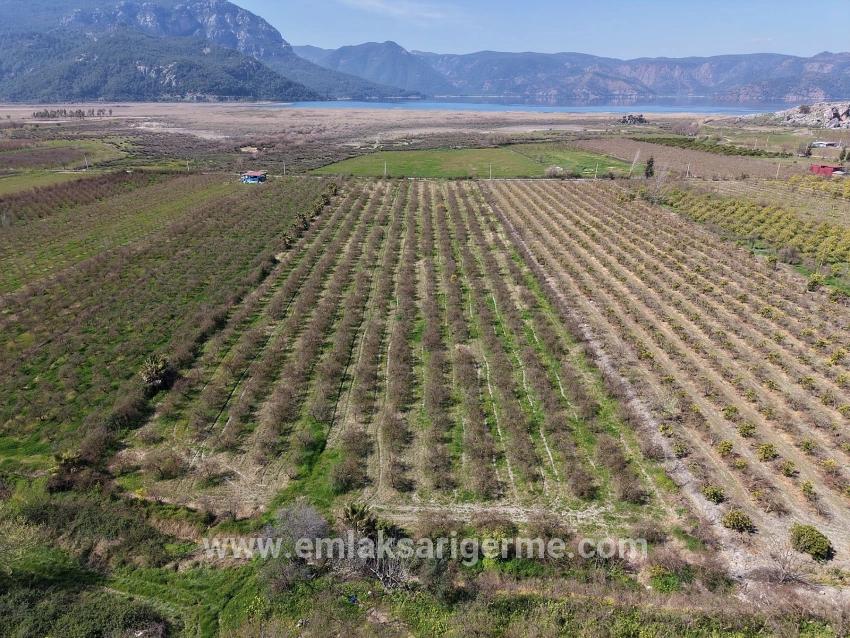 16.710 M² Granatapfelgarten Zum Verkauf Mit Seeblick In Eskiköy