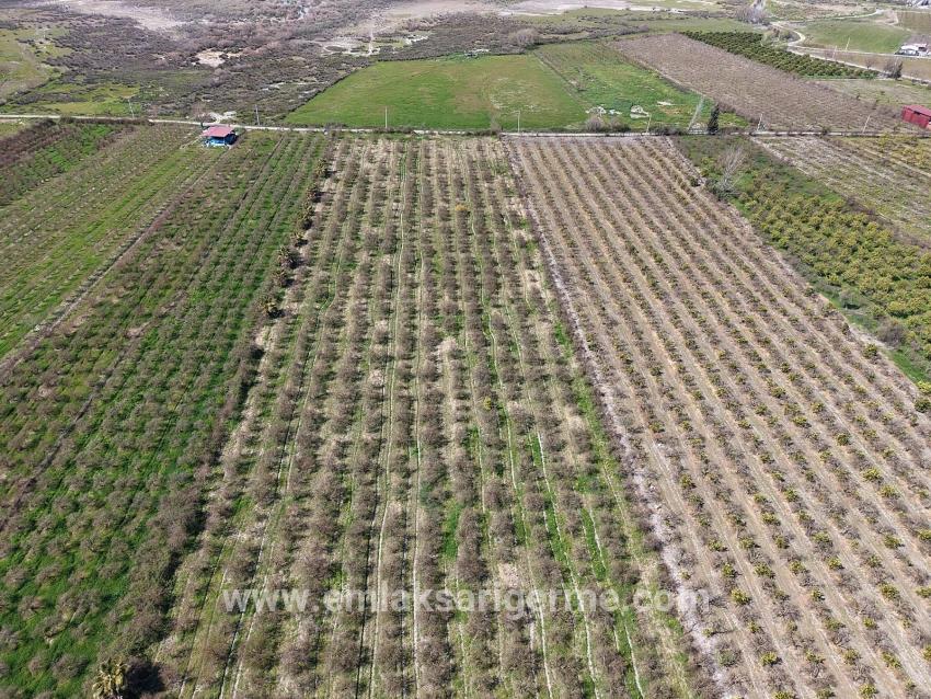 16.710 M² Granatapfelgarten Zum Verkauf Mit Seeblick In Eskiköy