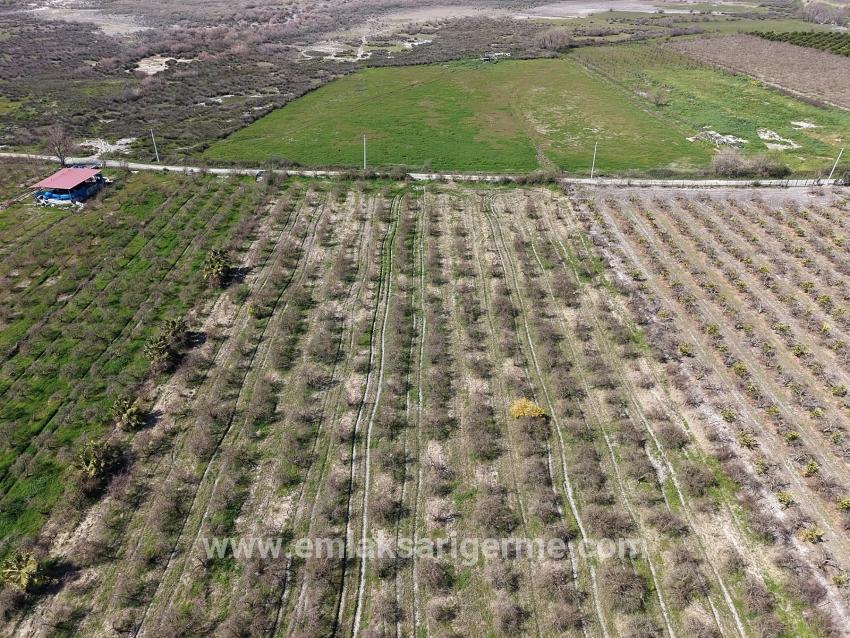 16.710 M² Granatapfelgarten Zum Verkauf Mit Seeblick In Eskiköy