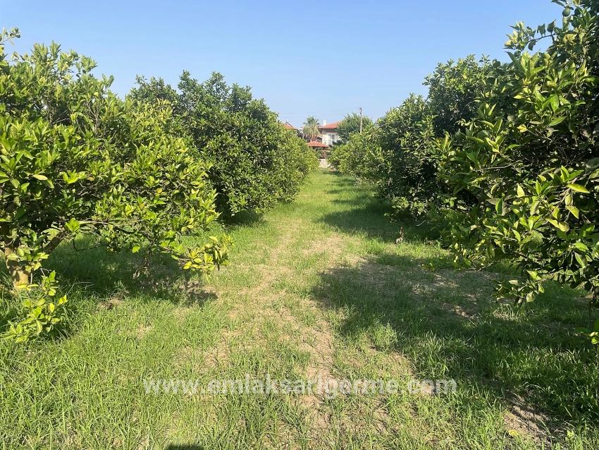 722m2 Grundstück Zum Verkauf In Dalyan Gülpınar