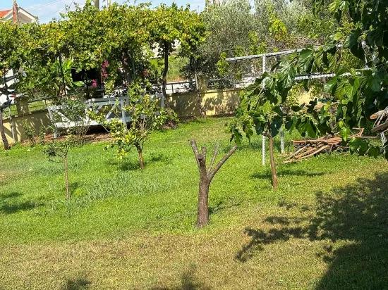 Dalyan Gülpınar 1000m2 Grundstück Innerhalb 4+2 Zu Verkaufende Villa
