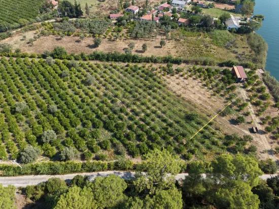 Im Köyceğiz Çandır Mahallesinde kanala sıfır 20.000m2 satılık Feld