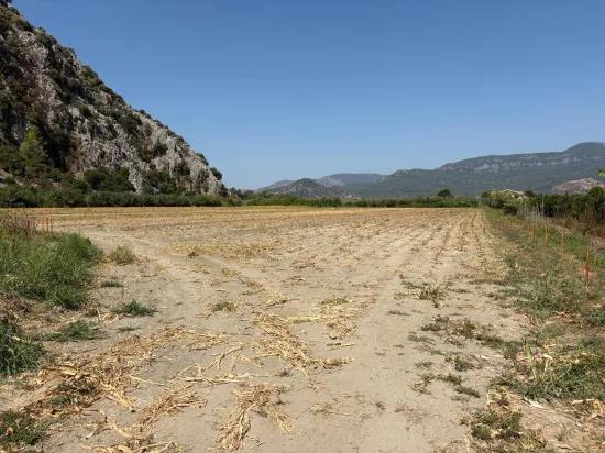 In Dalyan 20.786m2 Verkaufsfeld