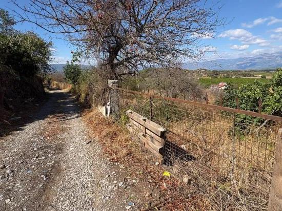 In Dalyan Karadağ Seeblick 5.000m2 zu verkaufen Acker