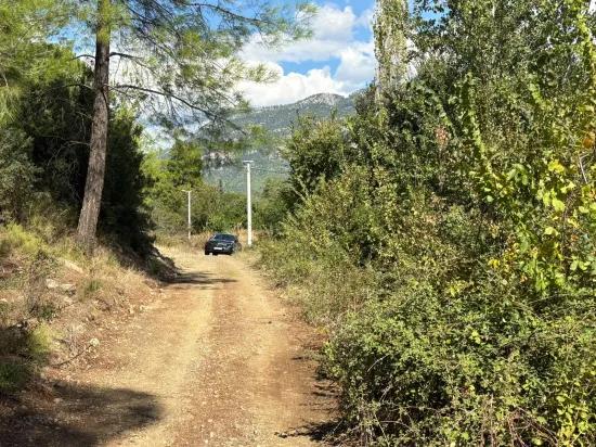10.500 m2 zum Verkauf Feld In Köyceğiz Zeytinalanı