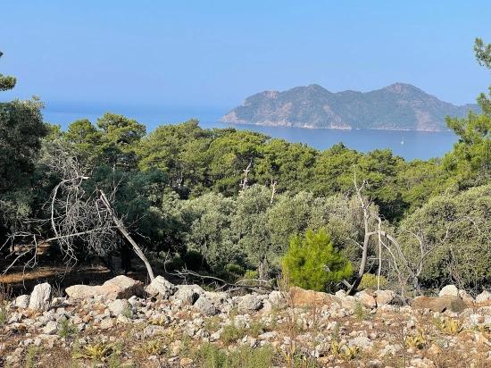 Schnäppchengrundstück Zum Verkauf Mit Meerblick In Der Gegend Von Ekincik-çandır.