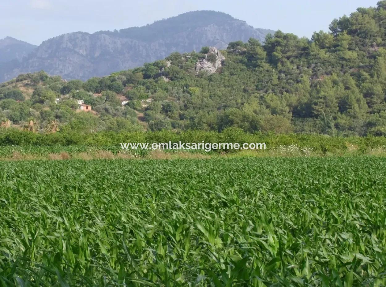 Bauernhof Zum Verkauf In Der Nähe Des Zentrums Von Dalyan,14, 612M2 Bauernhof Zum Verkauf