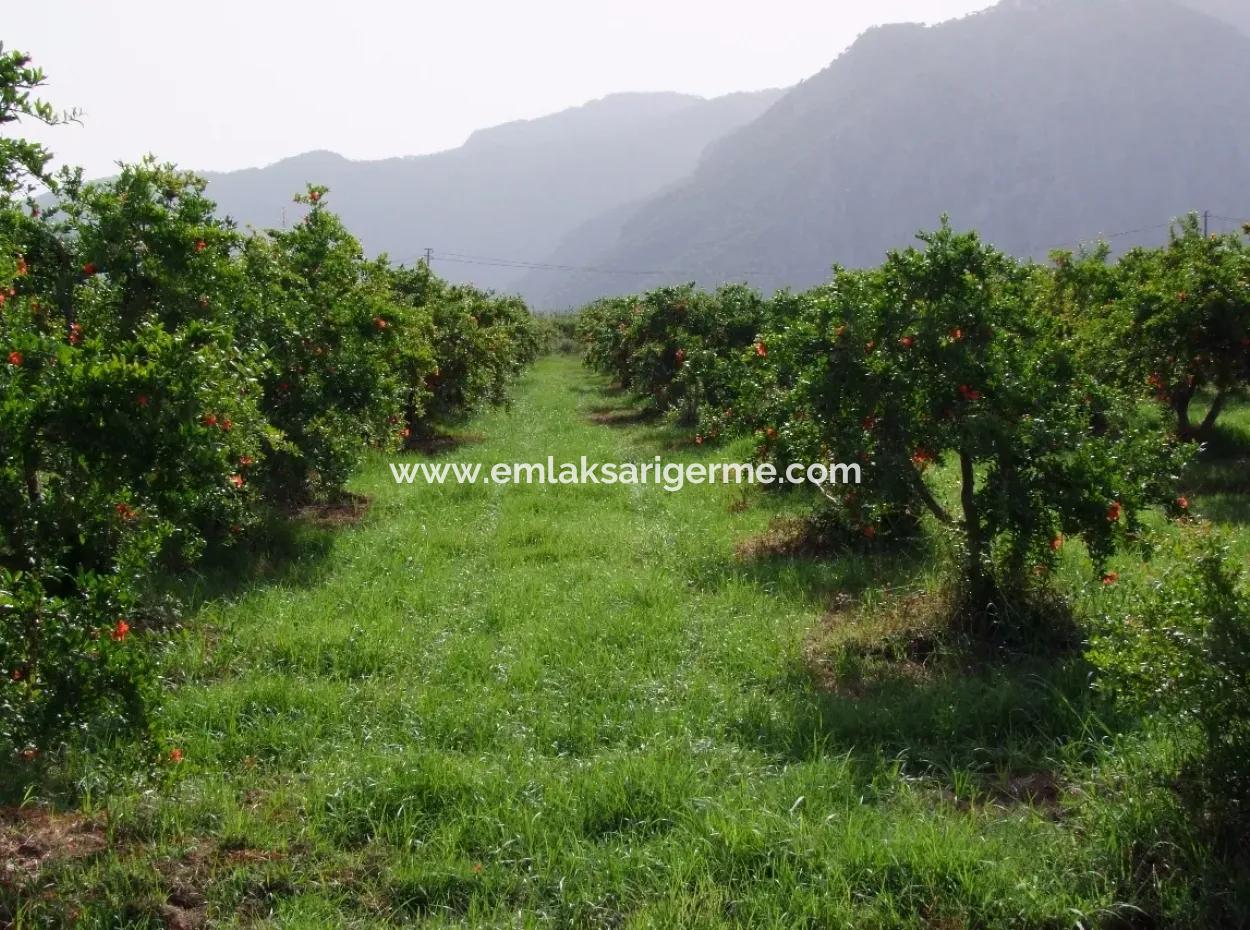 Merkez Dalyan Iztuzu See-Garten-Villa Zum Verkauf