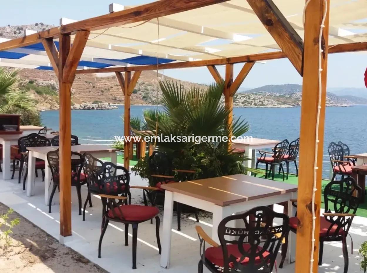 Benutzerdefinierte Dorf Am Meer Zu Verkaufen Villa Zum Verkauf In Osmanabad