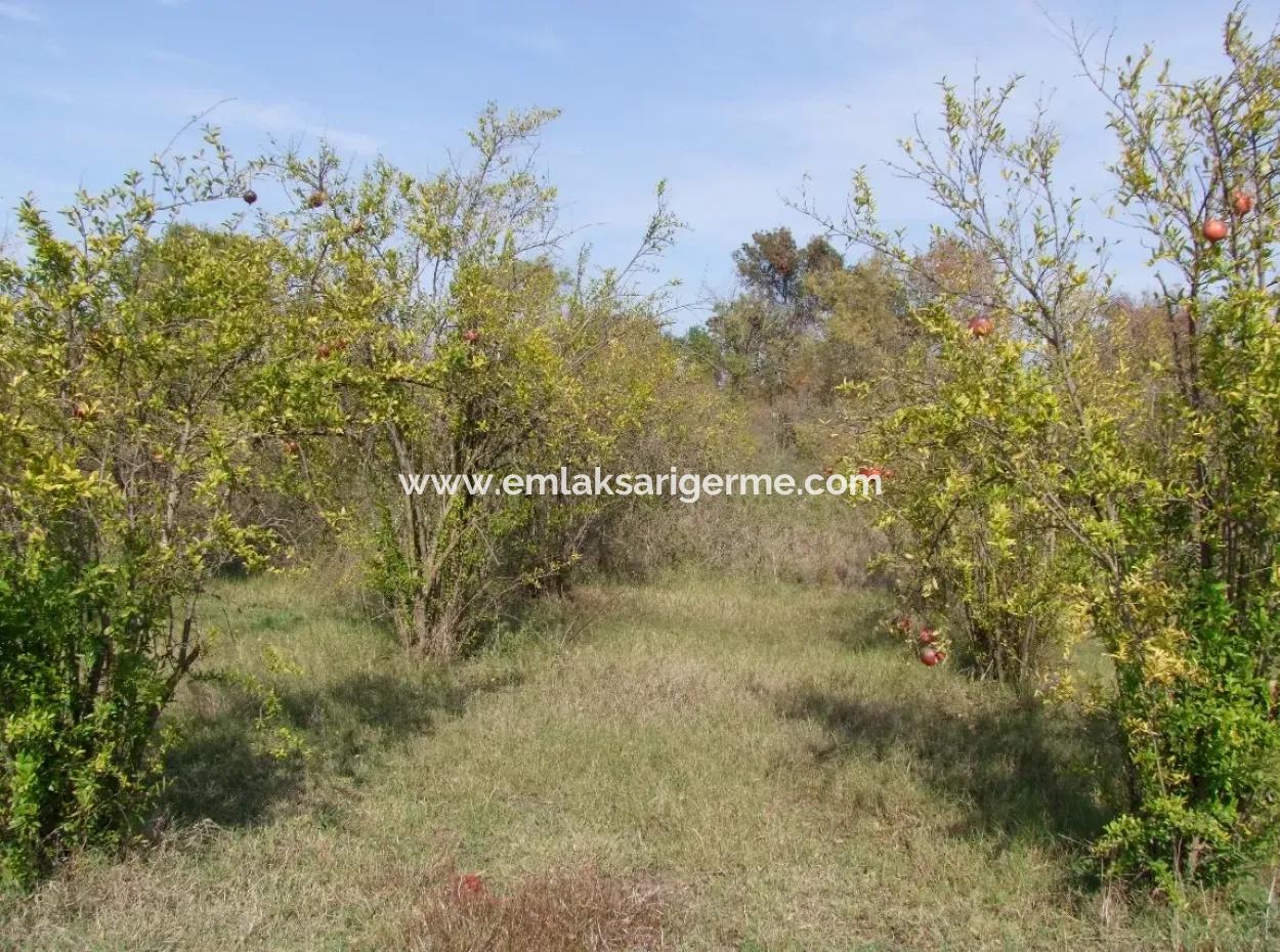 Güzelyurt Land Zu Verkaufen Dorf Gebaut 6670M2 Land Zum Verkauf