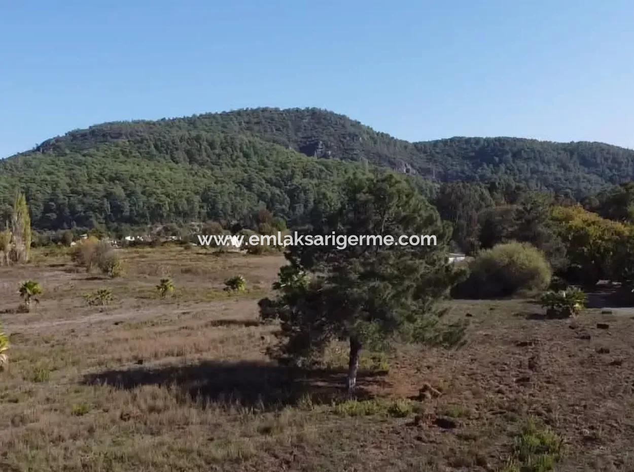 Land Zum Verkauf In 'Aml'da Marmaris 'Aml'da Meerblick 11720M2 Land Zu Verkaufen