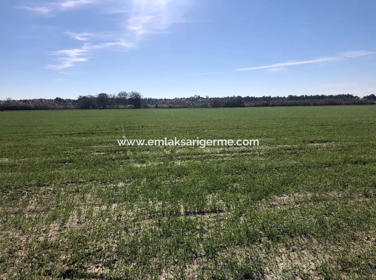 Land Zu Verkaufen In Sar'germede 30.000M2 Land Zum Verkauf Mit Meerblick