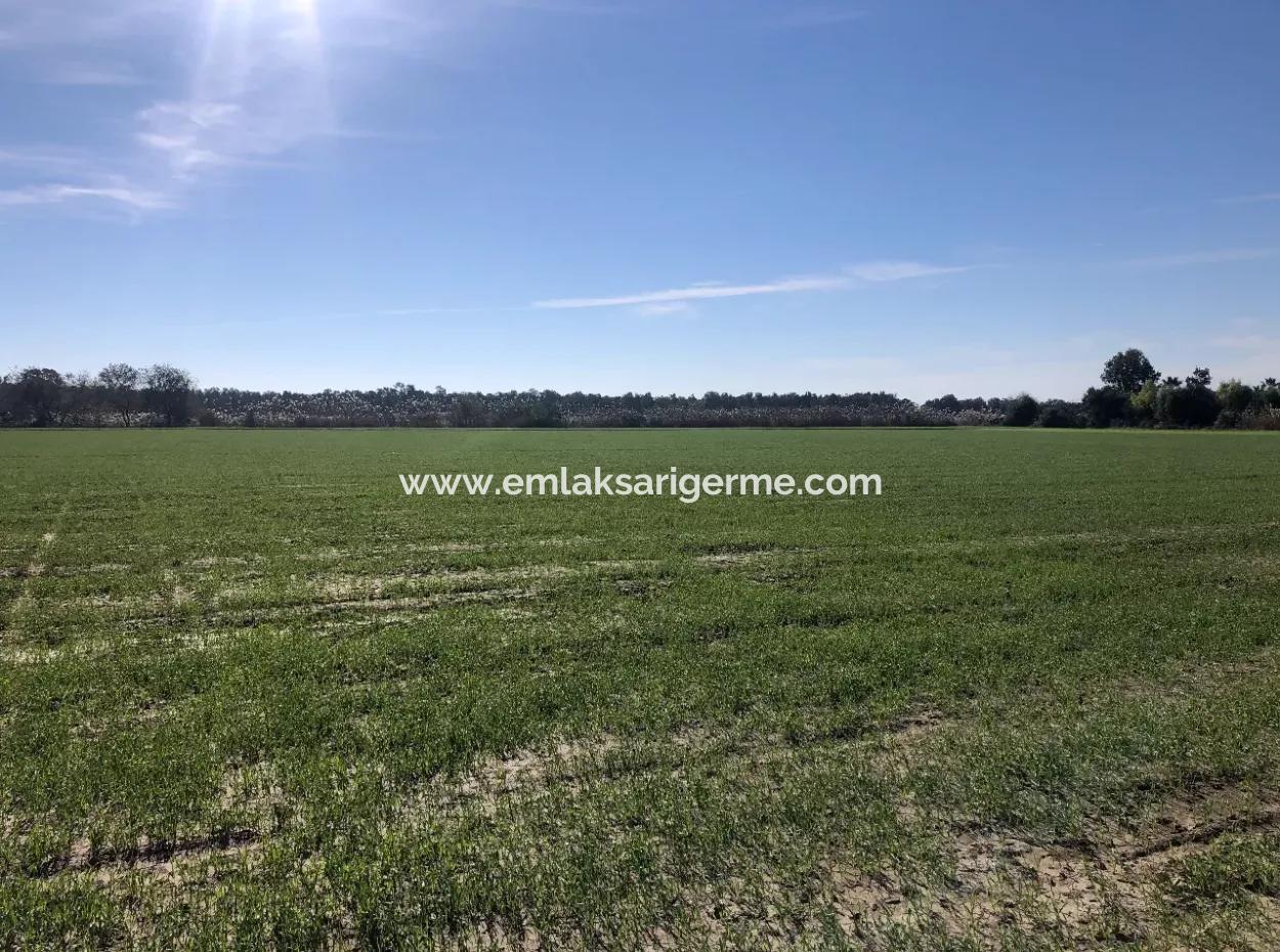 Land Zu Verkaufen In Sar'germede 30.000M2 Land Zum Verkauf Mit Meerblick