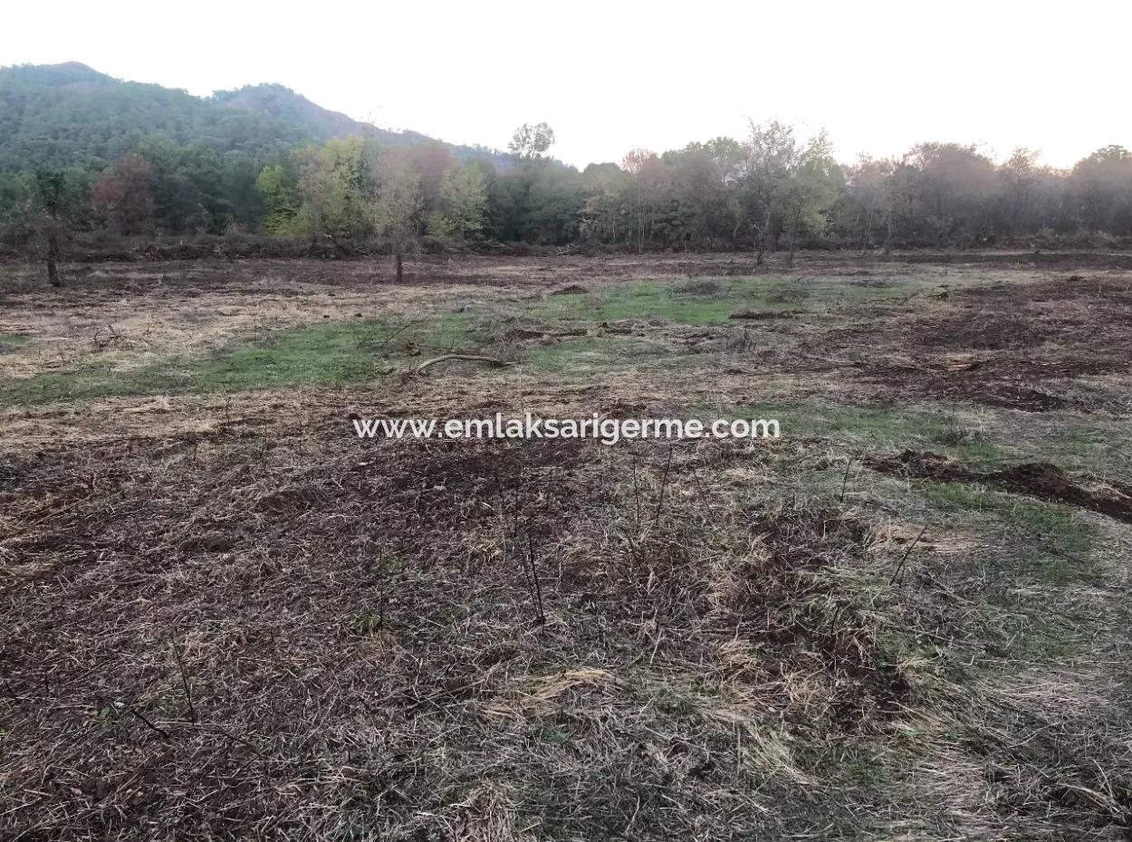 Sultaniye Land For Sale Near 10577M2 Lake Land For Sale