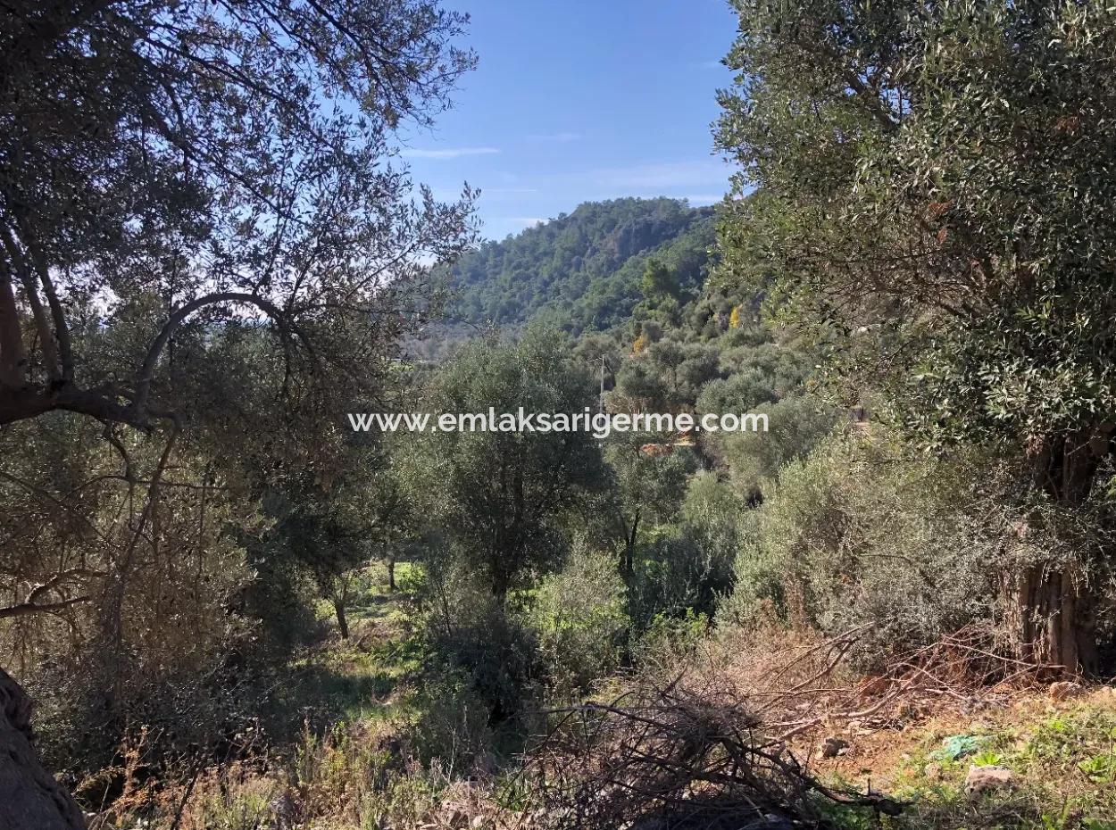Grundstück Zum Verkauf Mit Meerblick Von Fevziye