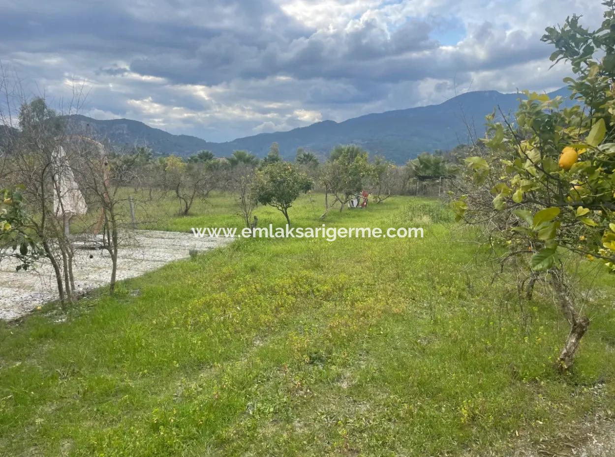 Dalyan Boutique Hotel Zum Verkauf Bungolevler Zum Verkauf In 11.000M2 Grundstück