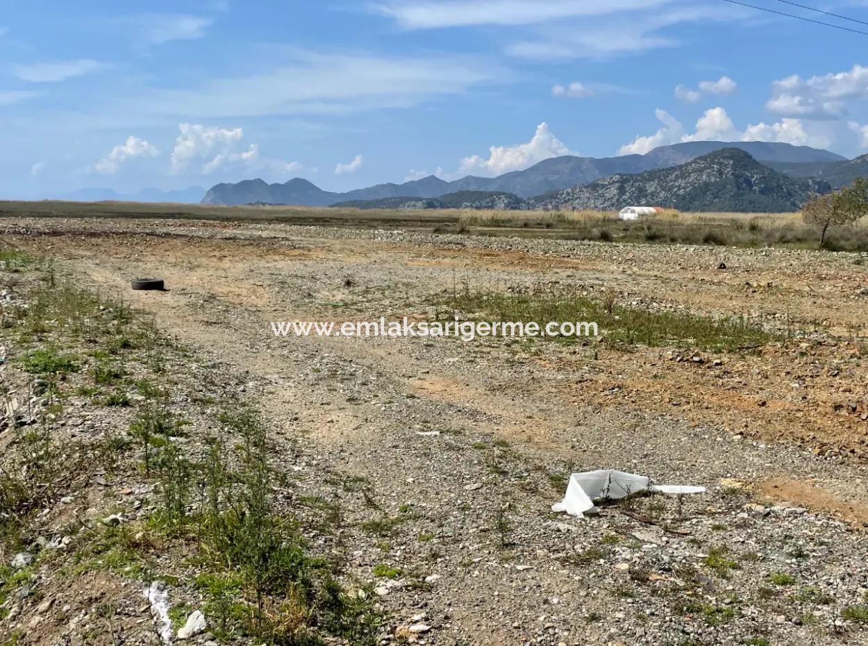 Dalyan Iztuzu Strand Straße Null 19.600M2 Feld Land Zum Verkauf