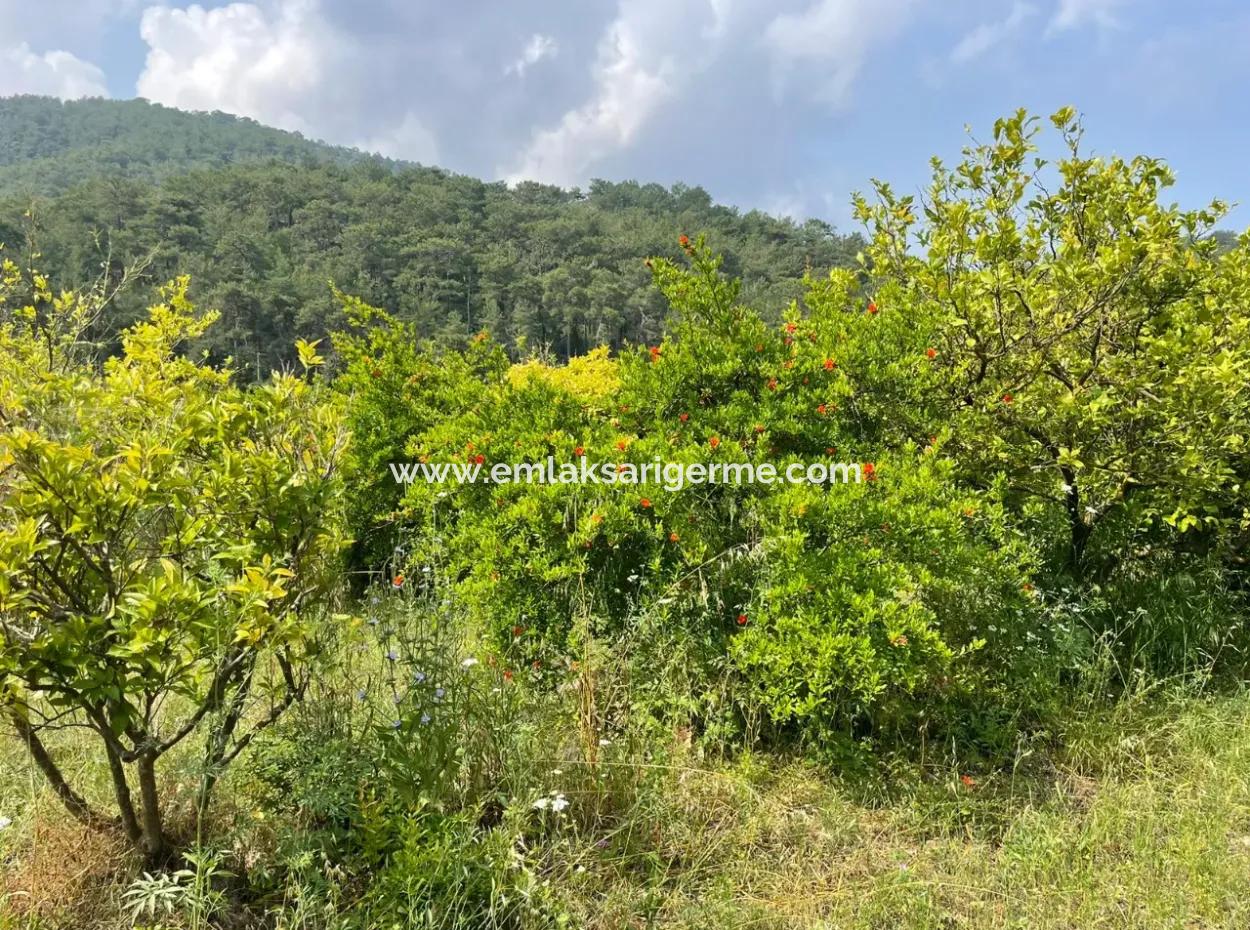 7800M2 Grundstück Zum Verkauf Am Anfang Der Strandstraße Iztuzu In Gökbel