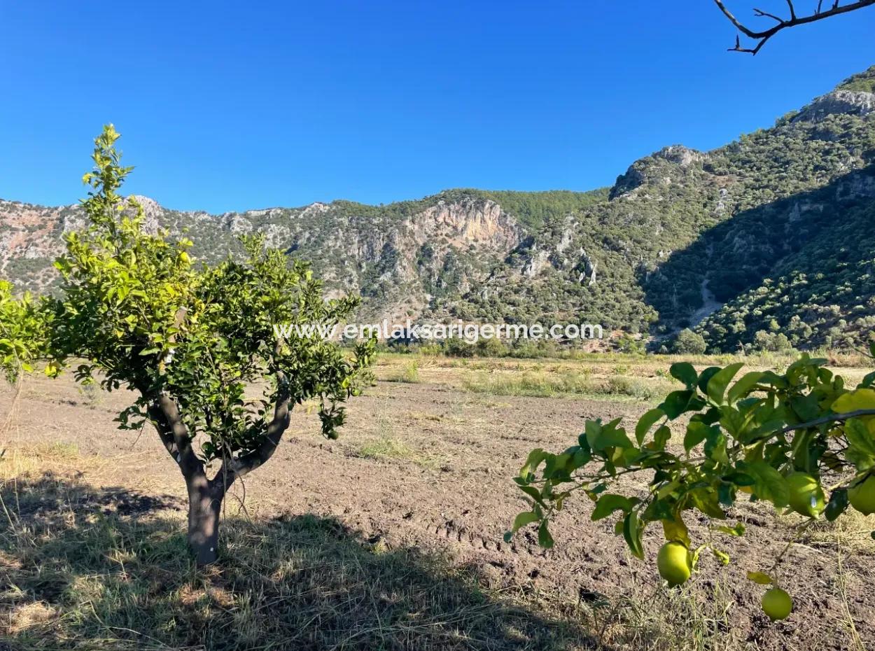 Grundstück Zum Verkauf In Dalyan In Der Nähe Des Zentrums Von 6600M2