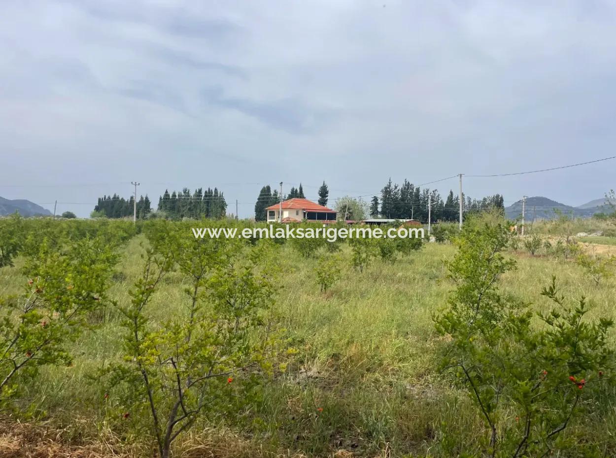 Feld Zu Verkaufen 6500M2 In Dalyan