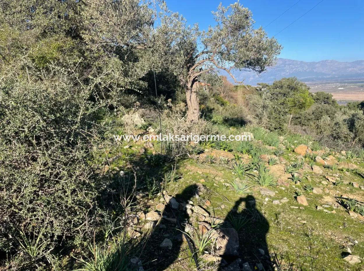 2B Grundstück Zum Verkauf Mit Meerblick In Çandır
