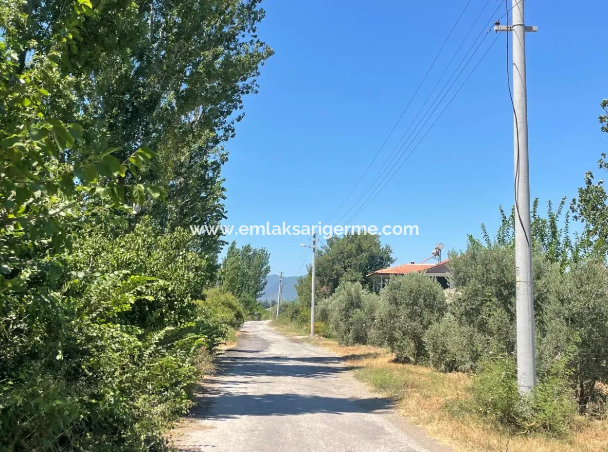 Straßenneuer 6820M2 Granatapfel- Und Zitronengarten Steht In Tepearası Zum Verkauf