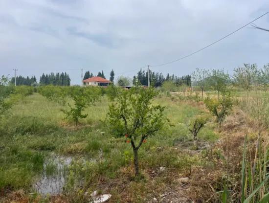 Feld Zu Verkaufen 6500M2 In Dalyan
