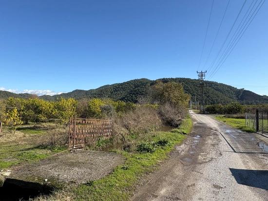 23.000 M² Großes Freistehendes Grundstück In Tepearası Zu Verkaufen.