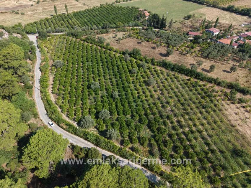 Village of Köyceğiz Çandır Neighbourhood with zero channel 20,000m2 for sale land