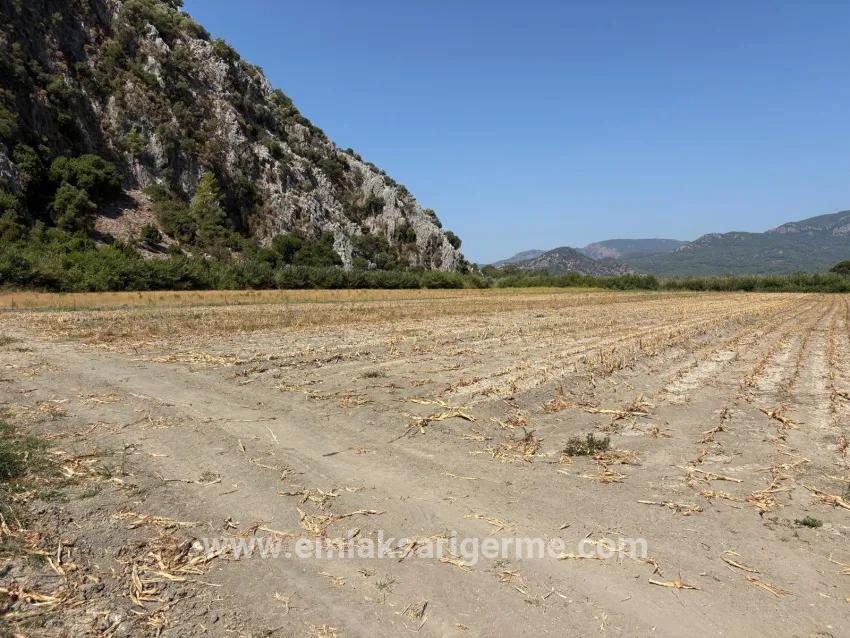 Field For sale in Dalyan Nbh. Ortaca - Field Zoned - 20.786 m²