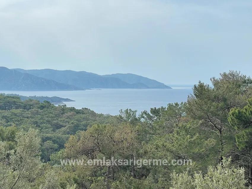 Field For sale in Ekincik Nbh. Köyceğiz - Olive Zoned - 7.000 m²