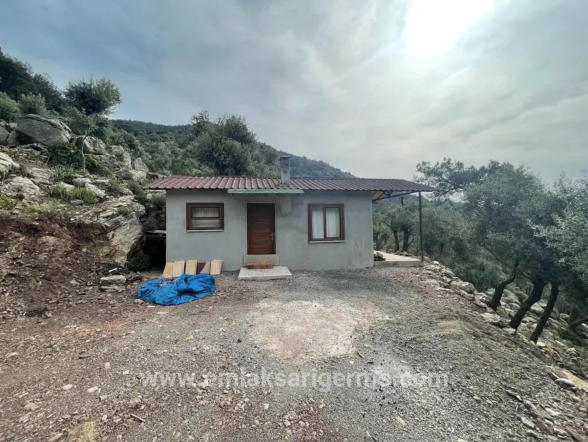 Field For sale in Ekincik Nbh. Köyceğiz - Olive Zoned - 7.000 m²