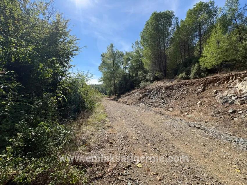 Field For sale in Zeytinalanı Nbh. Köyceğiz - Field Zoned - 10.500 m²